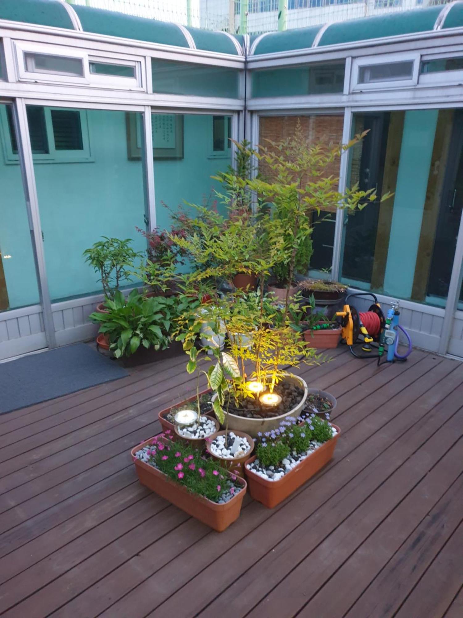 Dal Garam Guesthouse Gangneung Exterior foto