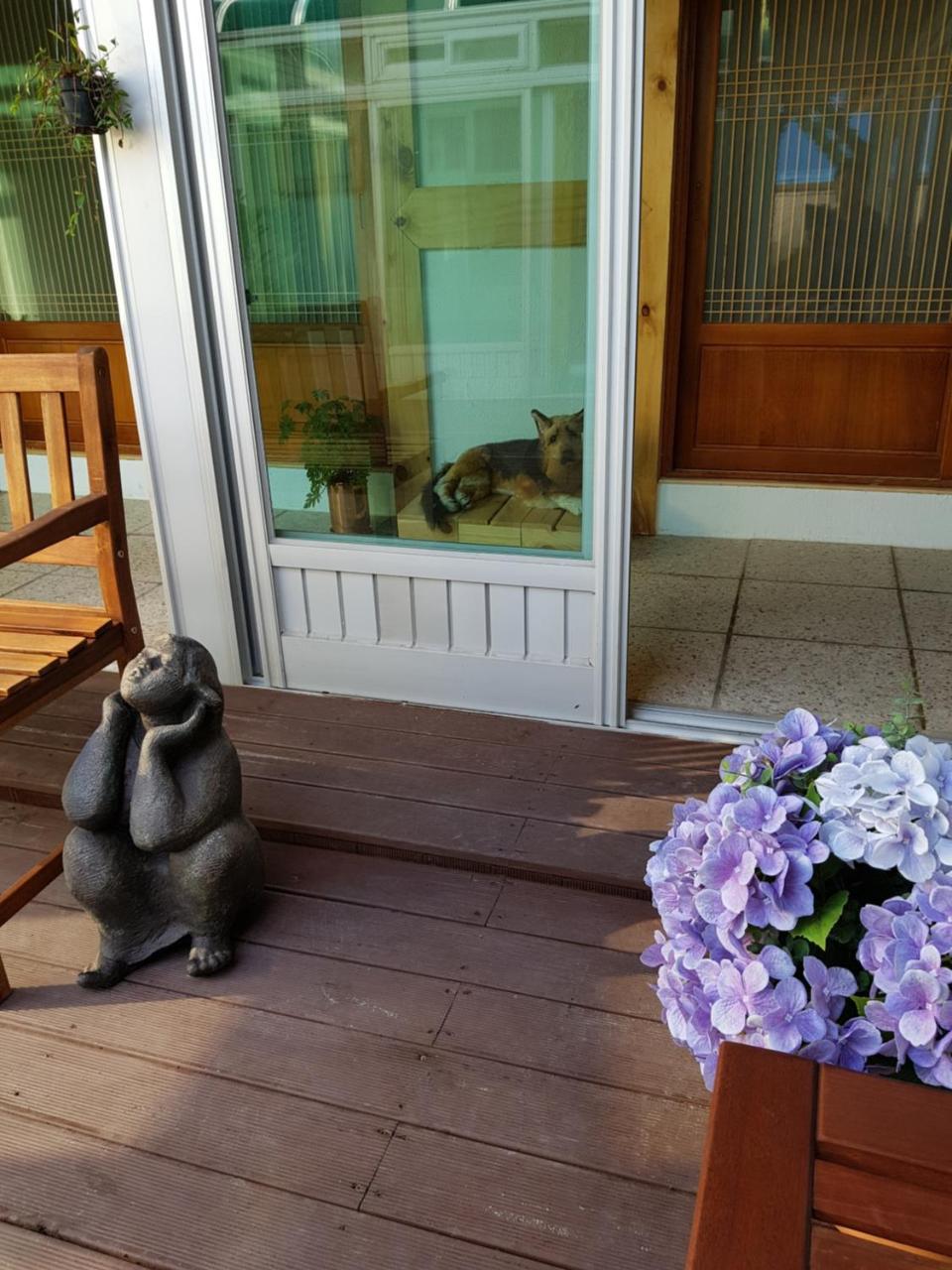 Dal Garam Guesthouse Gangneung Exterior foto